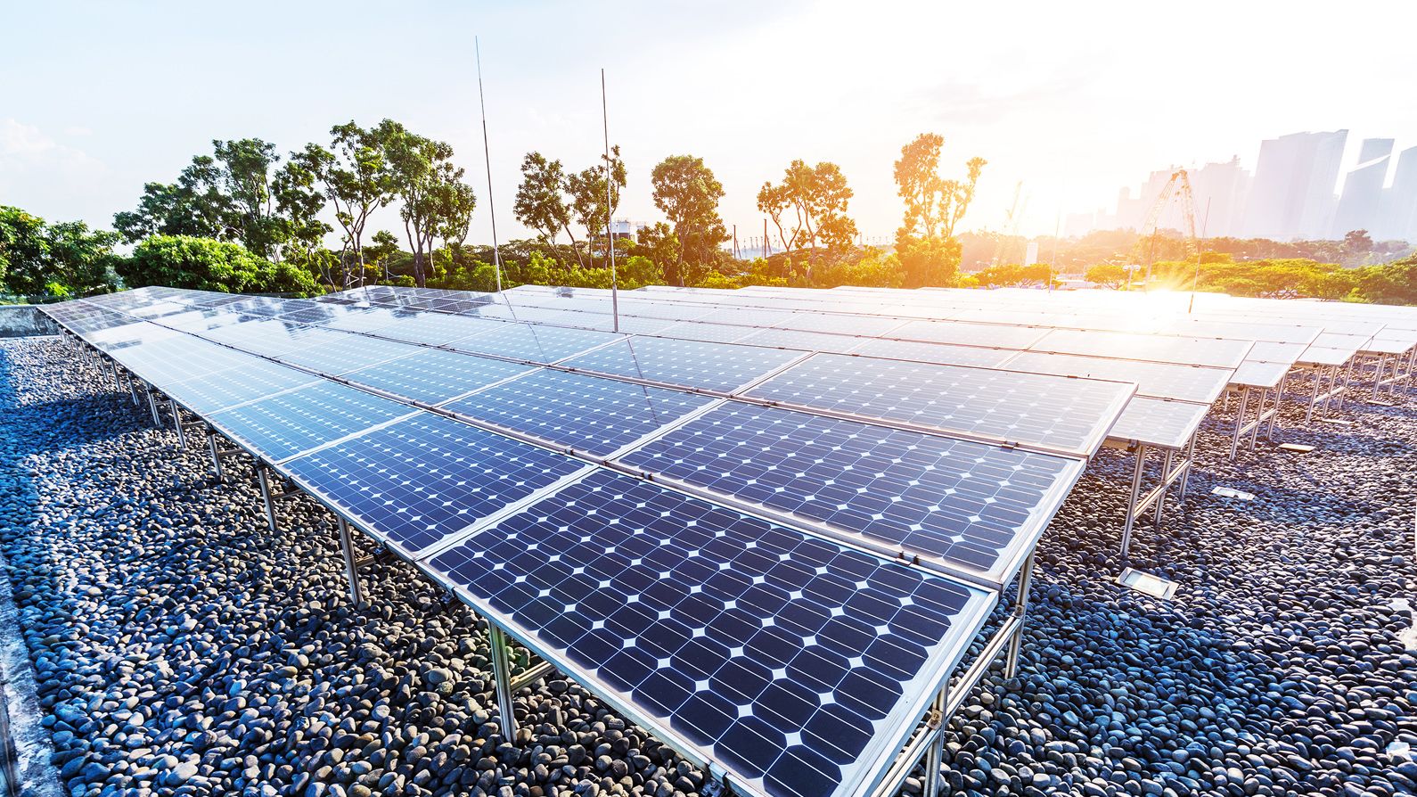 solar panels