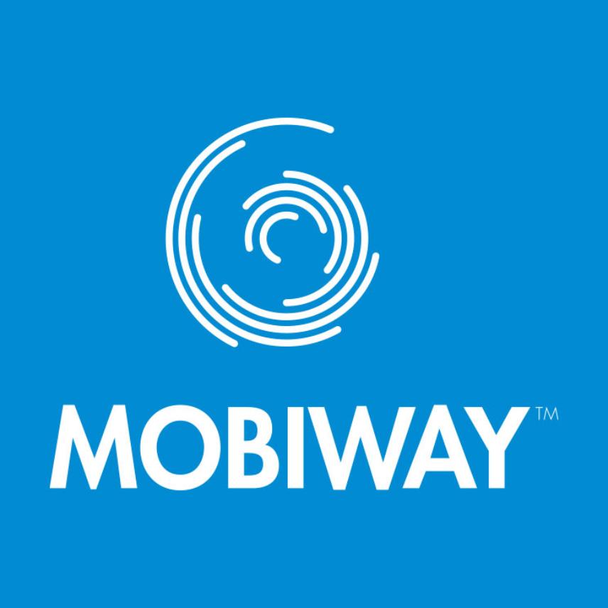 MOBIWAY™ basisset (1 set met 2 flenzen)